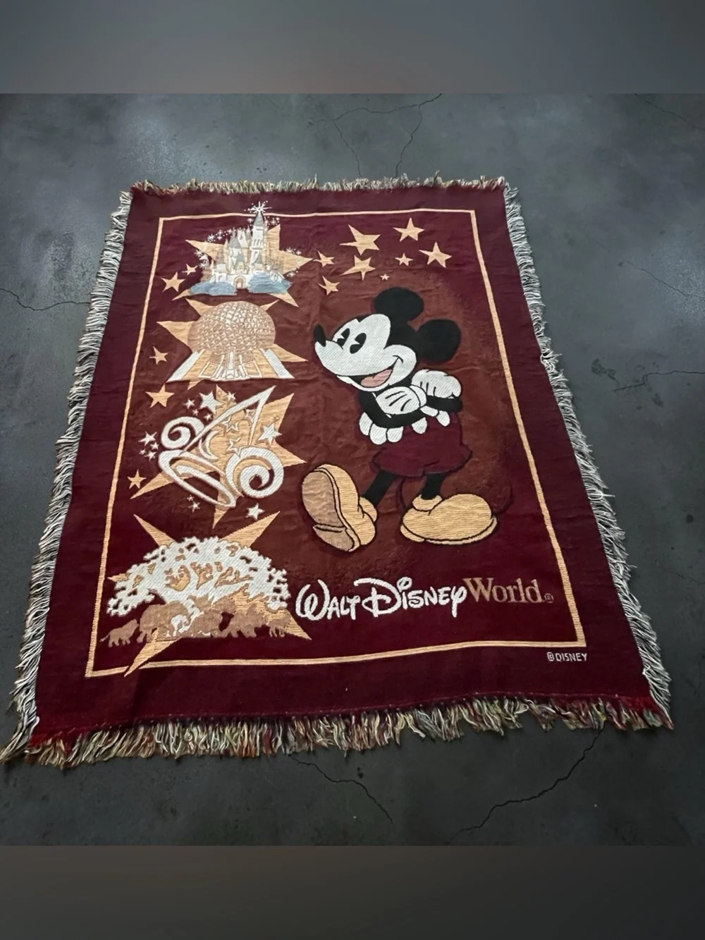 ✨ Walt Disney World Throw Blanket – Like New! ✨